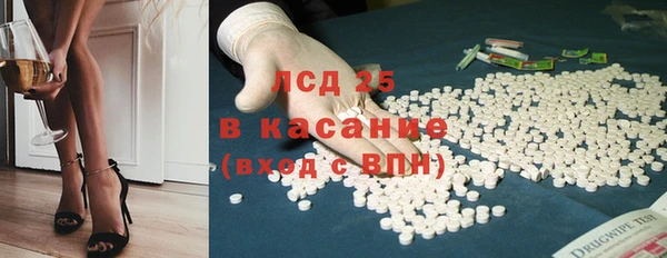 сатива Ахтубинск