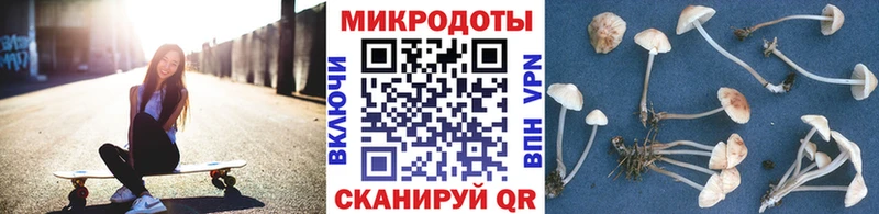 Псилоцибиновые грибы прущие грибы Шебекино