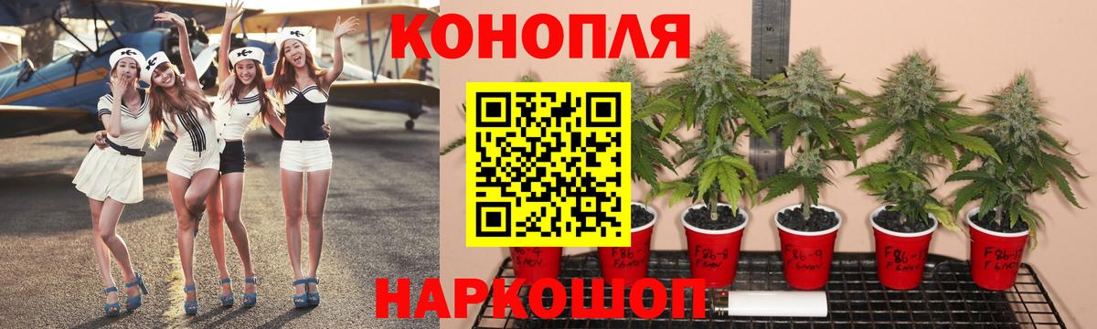 Марихуана OG Kush  Шебекино  Бошки Шишки марихуана  Каннабис AK-47  Бошки Шишки планчик 