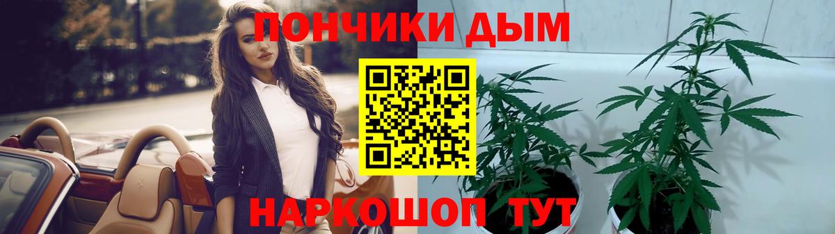 МАРИХУАНА гибрид  Бошки Шишки THC 21%  Вход с VPN  Шебекино  Шишки марихуана план 